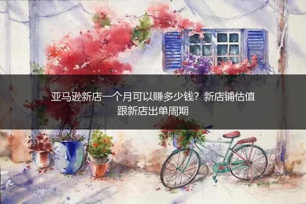 亚马逊新店一个月可以赚多少钱？新店铺估值跟新店出单周期